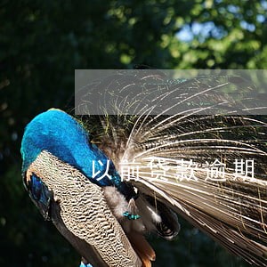 以前贷款逾期 离职 以前贷款逾期 离职
